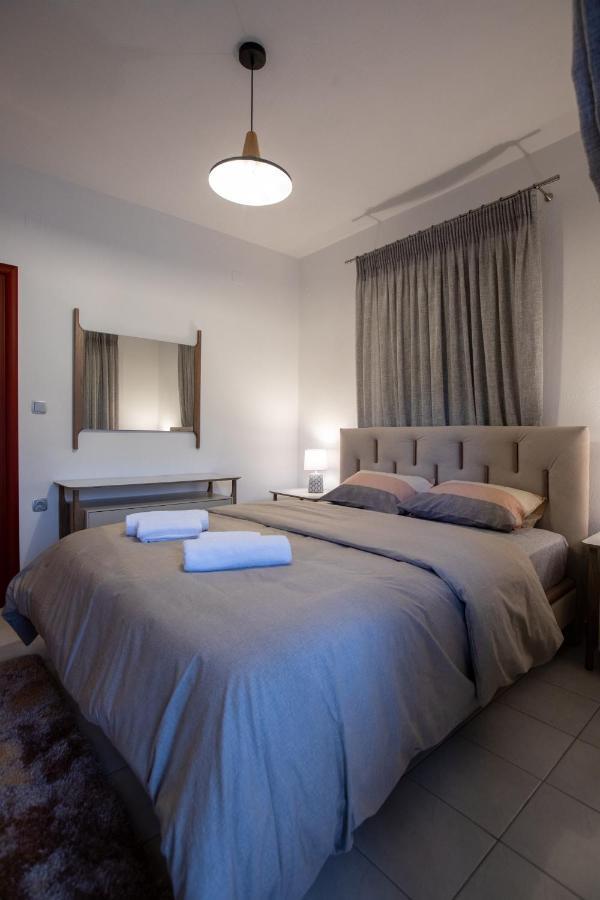 George Living House * Metsovo