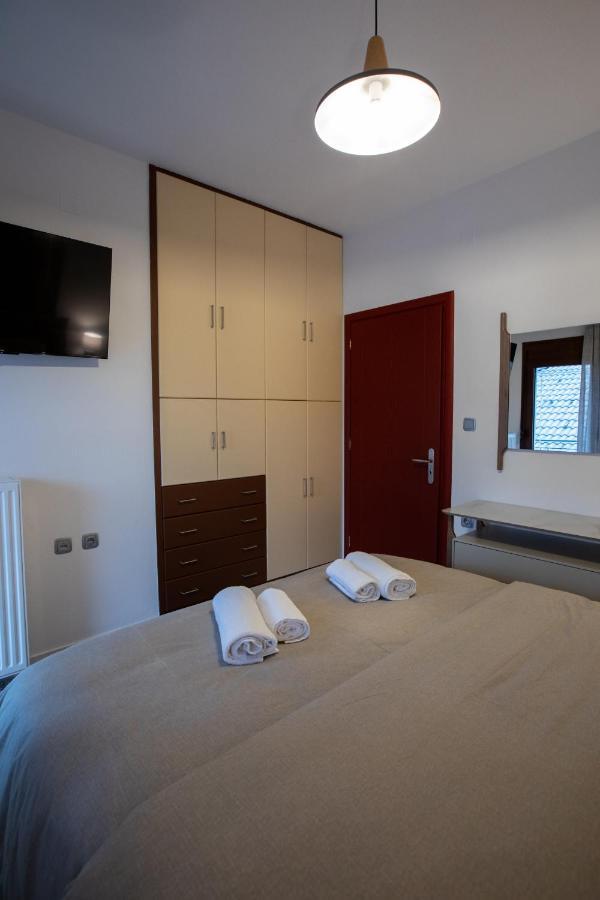 George Living House Apartment Metsovo