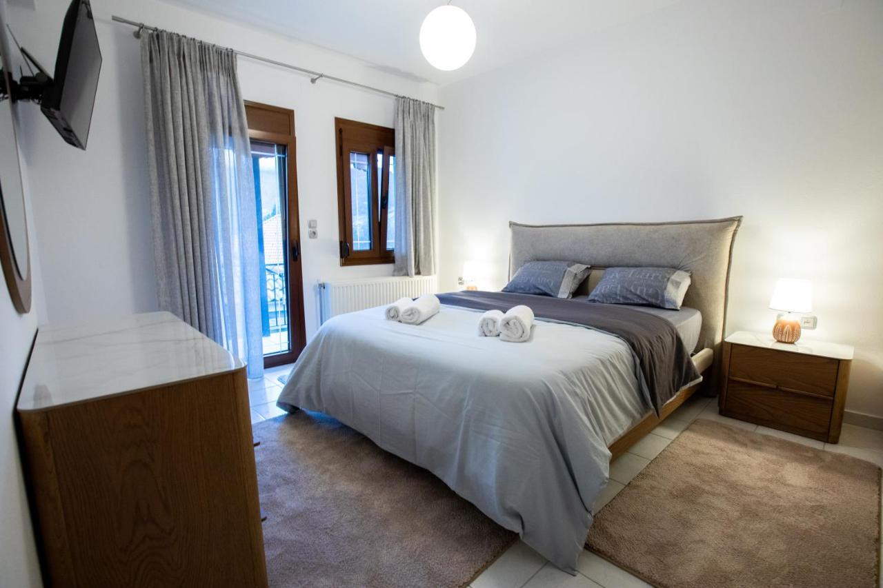 George Living House Metsovo